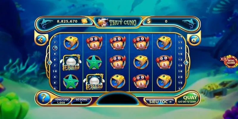 Một số phòng thi đấu trong game thủy cung nhatvip 